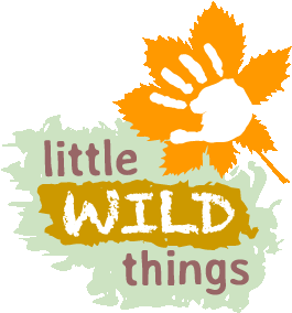 Little Wild Things